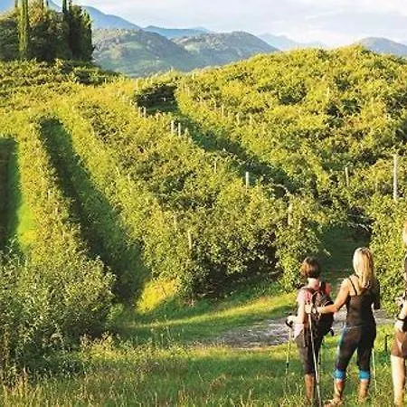 Monolocale Zona Del Prosecco